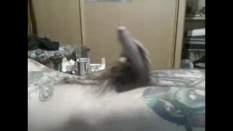 mrfumao online show from 06-08-26, 06:14