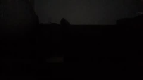 Nikola online show from 10-15-25, 12:44