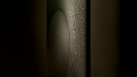 Snapshot of mrmaxxxxi chatting on 06-22-26, 07:05 mrmaxxxxi online show from 06-22-26, 07:05