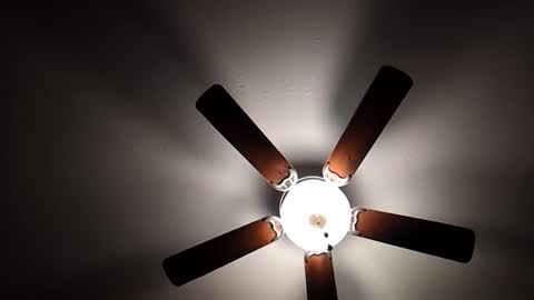 Snapshot of mrorange50187 chatting on 12-01-24, 10:21 mrorange50187 online show from 12-01-24, 10:21