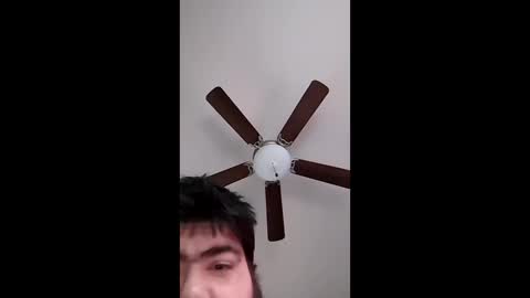 Snapshot of mrorange50187 chatting on 12-11-24, 08:07 mrorange50187 online show from 12-11-24, 08:07