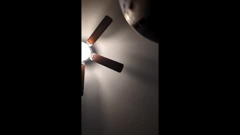 Snapshot of mrorange50187 chatting on 12-22-24, 01:11 mrorange50187 online show from 12-22-24, 01:11