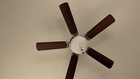 Snapshot of mrorange50187 chatting on 01-08-25, 05:48 mrorange50187 online show from 01-08-25, 05:48