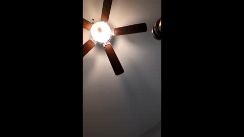 Snapshot of mrorange50187 chatting on 01-12-25, 02:52 mrorange50187 online show from 01-12-25, 02:52