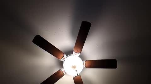 Snapshot of mrorange50187 chatting on 01-26-25, 10:02 mrorange50187 online show from 01-26-25, 10:02