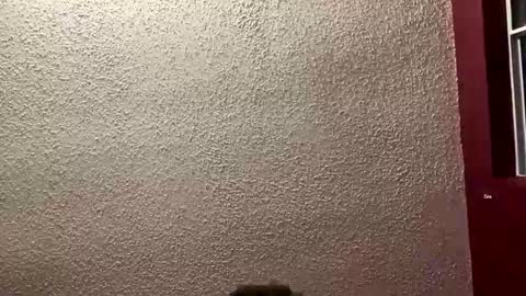 Snapshot of mrpurifire chatting on 01-19-26, 01:31 Angel online show from 01-19-26, 01:31