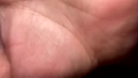 shawn online show from 12-16-25, 09:20