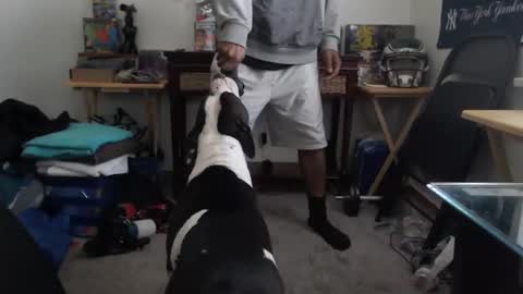 mrsoonicexrated online show from 01-04-25, 02:35