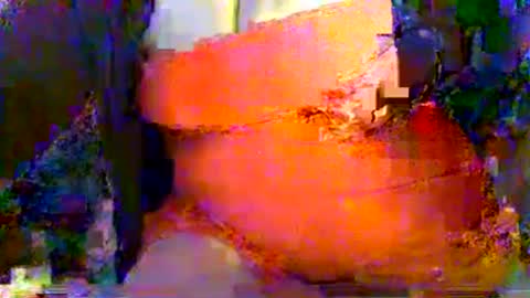 Snapshot of mrvenusx chatting on 07-25-26, 10:51 Mrs Venus online show from 07-25-26, 10:51