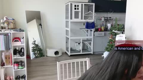 R o r i  SnapChat heyroriv2 wednesday - sunday Noon oclock mountain - 5pm mountain online show from 11-01-25, 06:21