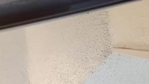 melissa online show from 03-14-26, 08:58