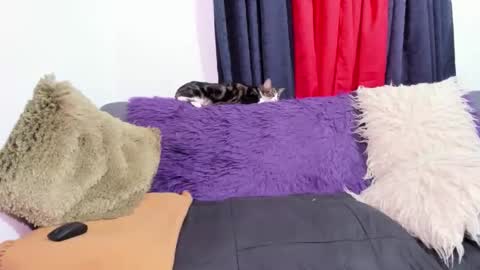 Miss Justine online show from 10-31-25, 01:17