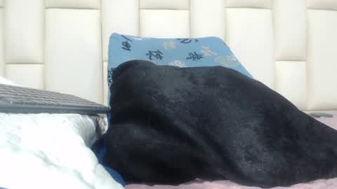 FERNANDA 3 online show from 12-05-24, 03:04
