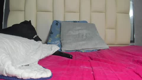 FERNANDA 3 online show from 12-07-24, 06:10