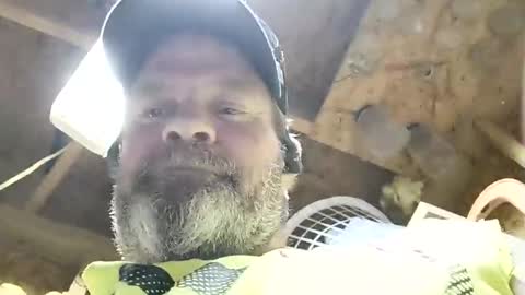 Snapshot of muddflapz chatting on 10-29-25, 12:24 muddflapz online show from 10-29-25, 12:24