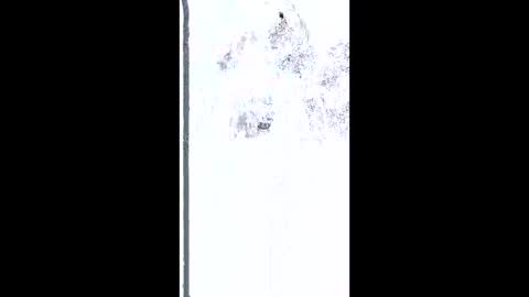 mudjimba online show from 02-26-26, 05:17