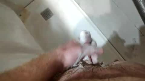 mugglesmuggler online show from 03-20-26, 10:42