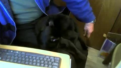 muller520 online show from 01-11-25, 10:19