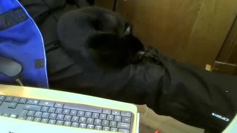 muller520 online show from 01-15-25, 02:35