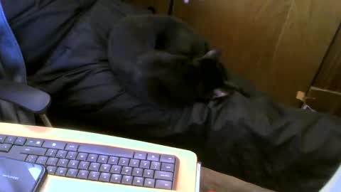 muller520 online show from 01-16-25, 06:06