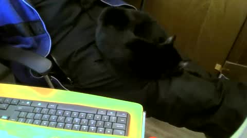 muller520 online show from 01-18-25, 03:59