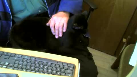 muller520 online show from 02-04-25, 04:50