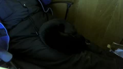 muller520 online show from 10-29-25, 01:57