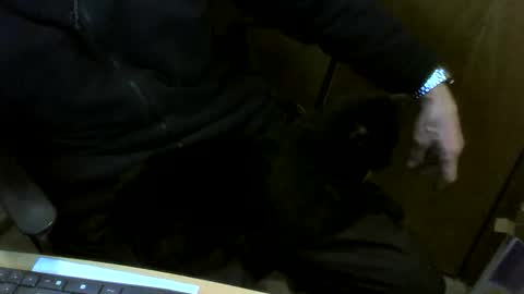 muller520 online show from 02-10-26, 04:44