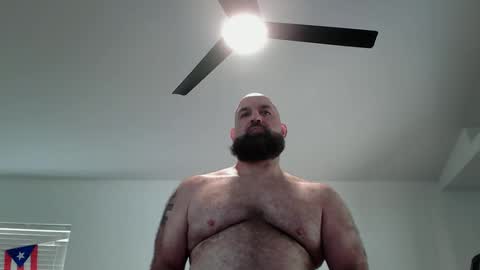 Bearded online show from 05-11-26, 04:04