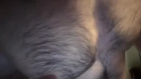 musclehair3 online show from 02-10-25, 07:17