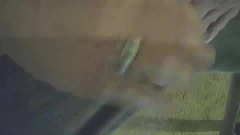 musicman2021 online show from 10-26-25, 03:40