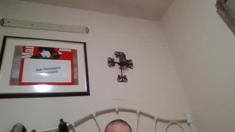 mustang2020gt123 online show from 02-04-26, 11:27