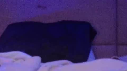 mycloudyalt online show from 03-21-26, 01:54