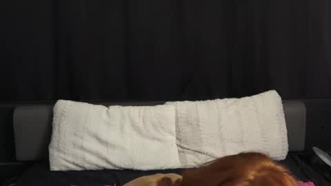 Snapshot of mymiesexy chatting on 09-11-25, 10:10 mymiesexy online show from 09-11-25, 10:10