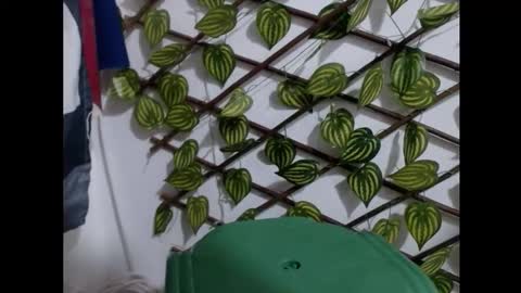 my negrito online show from 03-16-26, 07:51