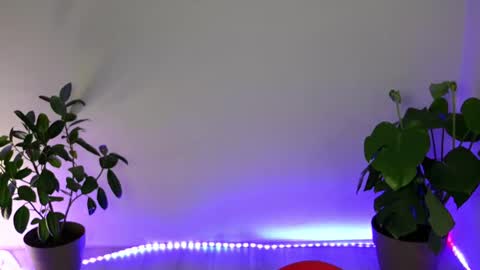 Snapshot of mysticalart chatting on 10-11-25, 10:30 Eve online show from 10-11-25, 10:30