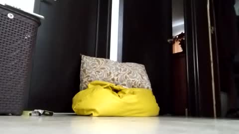 nak3d_lif3 online show from 03-23-26, 01:37