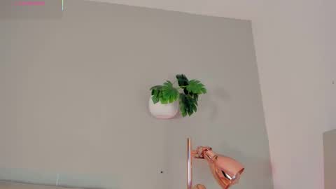 INSTAGRAM  m2221     online show from 02-09-26, 10:52