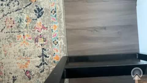 nakednewbies online show from 06-28-26, 02:56