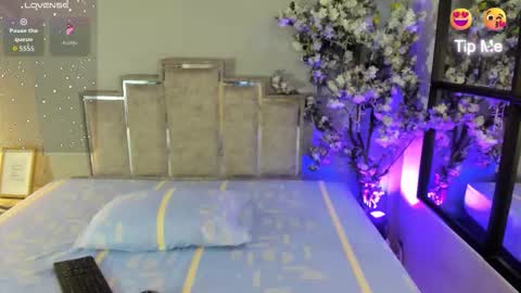 nalapalmer online show from 02-12-26, 07:53