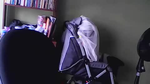 nana_666_ online show from 11-17-25, 09:20