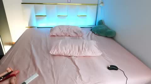 Nana Sakura online show from 04-28-26, 10:15