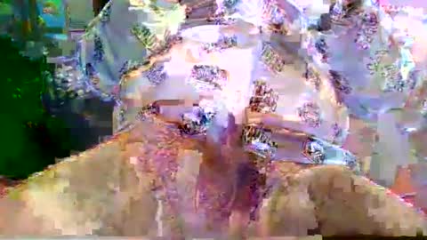 nano527 online show from 02-12-26, 07:25