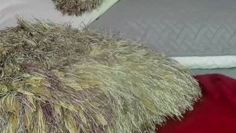 Naomy Smith online show from 12-13-24, 11:06