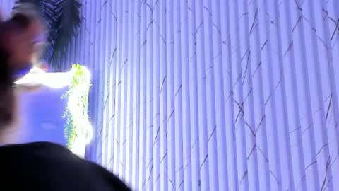 Naomy  online show from 06-18-26, 04:46