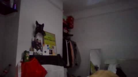 Snapshot of narcomarco14 chatting on 11-11-25, 01:49 NarcoMarco online show from 11-11-25, 01:49