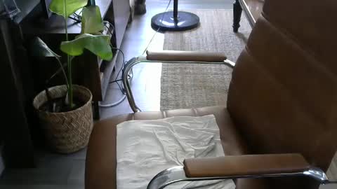 Snapshot of nareth338 chatting on 09-19-25, 08:42 nareth338 online show from 09-19-25, 08:42