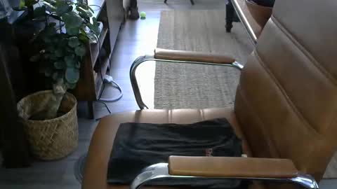 Snapshot of nareth338 chatting on 10-30-25, 06:30 nareth338 online show from 10-30-25, 06:30