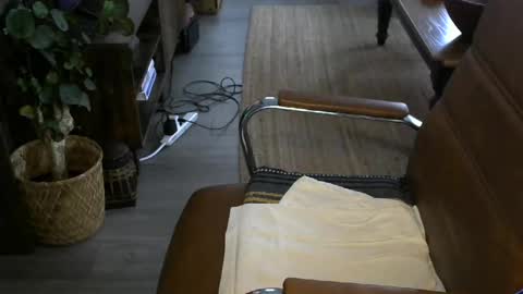 nareth338 online show from 04-08-26, 02:50