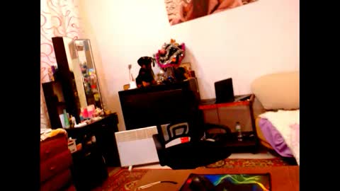 natali online show from 12-28-24, 08:58